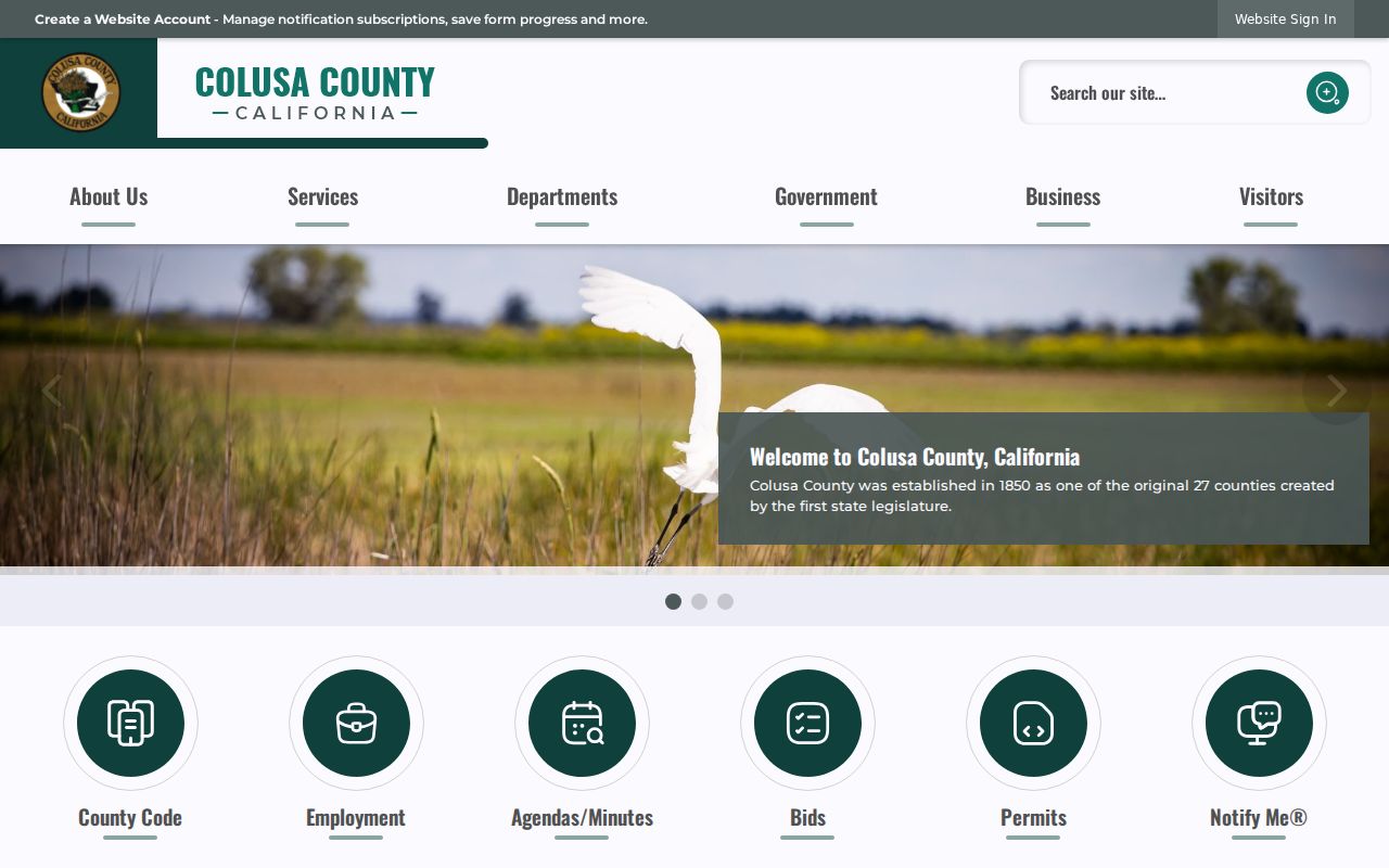 Colusa County criminal history and county government records